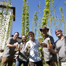 Bilder vom Hopfenerntefest