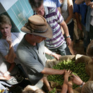 Trumer Hopfenerntefest 2012_Bild5.jpg