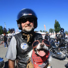 normal_08092012harley2de01001aktivnews__44_.jpg