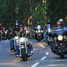 normal_08092012harleyde01001aktivnews_009.jpg