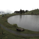 Livecam Scheffau