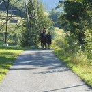 DSCN1060.JPG
