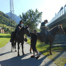 DSCN1065.JPG