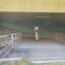 DSCN1069.JPG