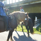 DSCN1073.JPG