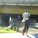 DSCN1074.JPG