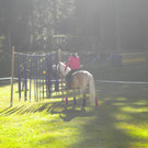 DSCN4074.JPG