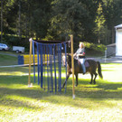 DSCN4105.JPG