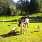 DSCN4124.JPG