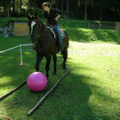 DSCN4142.JPG