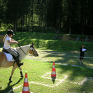 DSCN4166.JPG