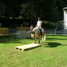 DSCN4177.JPG
