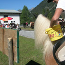 DSCN4186.JPG