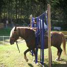 DSCN4197.JPG