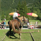 DSCN4208.JPG