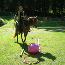 DSCN4229.JPG