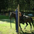 DSCN4239.JPG