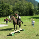 DSCN4246.JPG