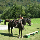 DSCN4247.JPG
