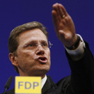 westerwelle 2.jpg