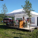 P1100163 _Custom_.JPG