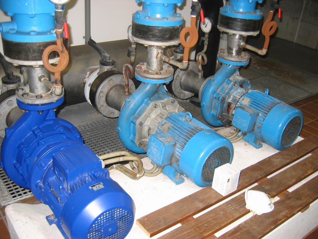 IMG_1191_JPG-1347316005