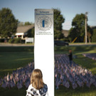 IBD0818-20120910.jpg