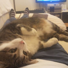 2012-03-04 20_14_34.jpg