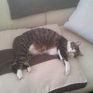 2012-07-23 16_32_44.jpg