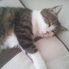 2012-07-23 16_32_53.jpg