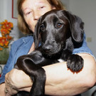 Bilder der Welpen
