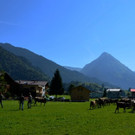 bj_jpg-1347456544