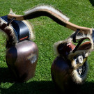 ce_jpg-1347456570