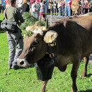 df_jpg-1347456619