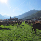 do_jpg-1347456636