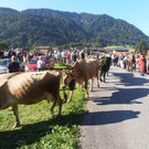 h6_JPG-1347456710
