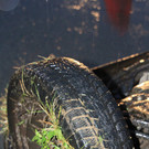 12092012vua1de01001aktivnews_43.jpg