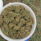 13_09_2012 PI Gro__-Enzersdorf 3.jpg