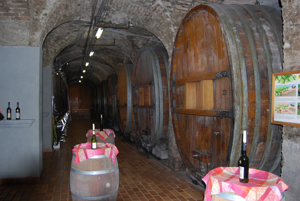 DSC_0088_JPG-1347549358