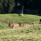 DSC03533_JPG-1347549163