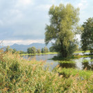 Erlach Hard Wasser 14-09-2012 2_jpg-1347615136