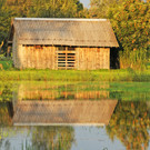 Erlach Hard Wasser 14-09-2012 7_jpg-1347615152