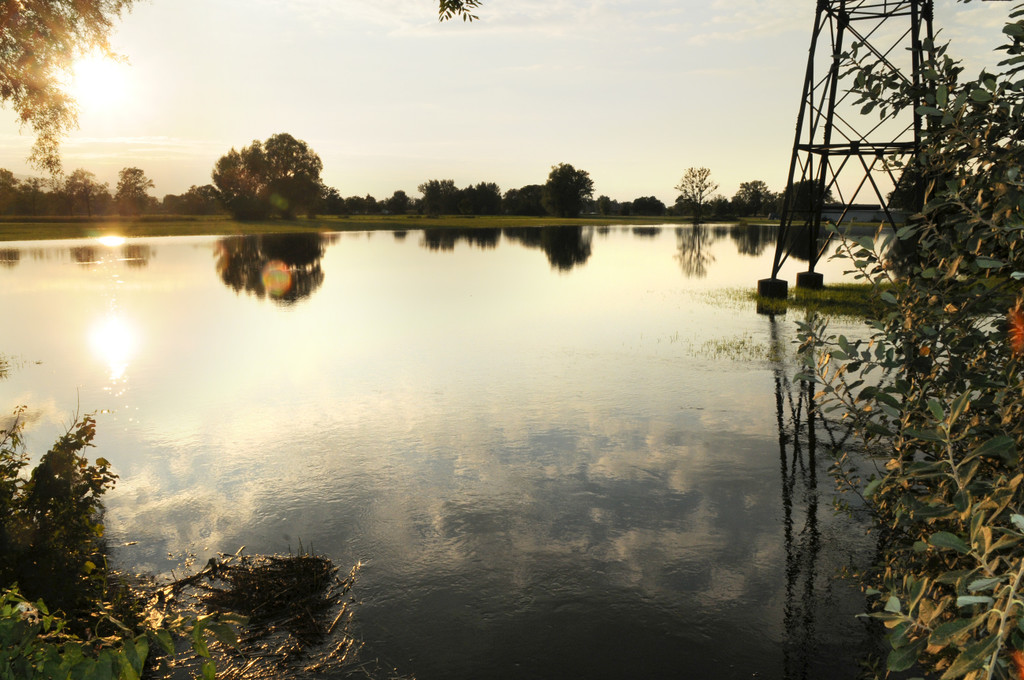 Erlach Hard Wasser 14-09-2012 20_jpg-1347615210