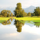 Erlach Hard Wasser 14-09-2012 25_jpg-1347615223