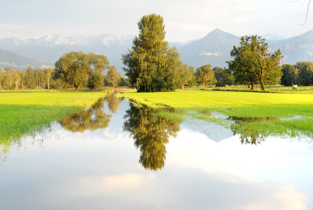 Erlach Hard Wasser 14-09-2012 25_jpg-1347615223