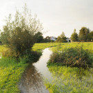 Erlach Hard Wasser 14-09-2012 26_jpg-1347615234