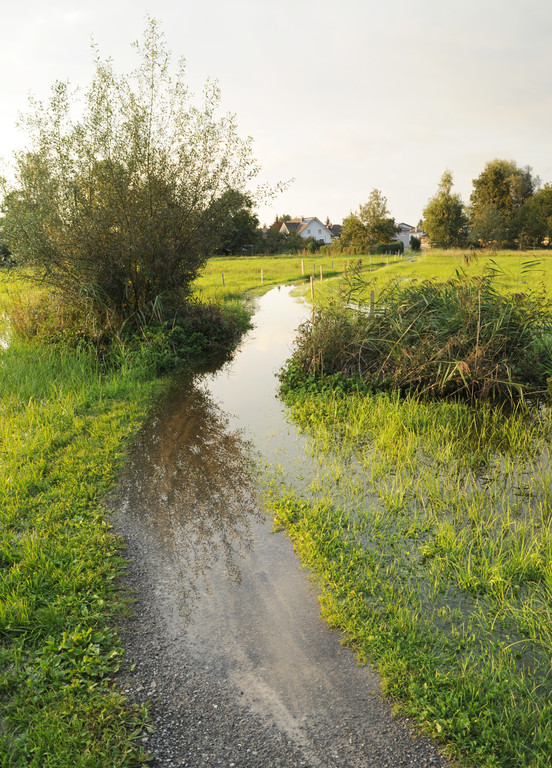 Erlach Hard Wasser 14-09-2012 26_jpg-1347615234