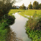 Erlach Hard Wasser 14-09-2012 27_jpg-1347615245