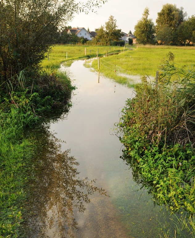 Erlach Hard Wasser 14-09-2012 27_jpg-1347615245