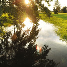 Erlach Hard Wasser 14-09-2012 30_jpg-1347615262